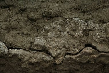 Arka plan olarak eski taş duvar, yakın çekim görünümü