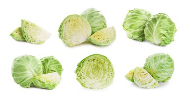 Beyaz arka planda taze lahana, kolaj