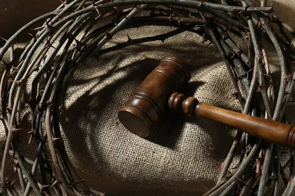 Yargıç tokmağı ve dikenli taç çuval bezi, yukarıda.