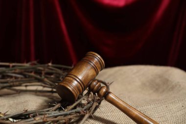 Yargıç tokmağı ve dikenli taç kırmızı perdeye karşı çuval bezi, yakın plan. Metin için boşluk