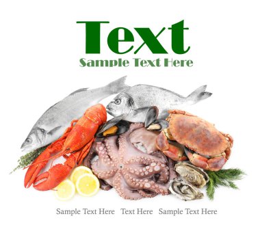 Beyaz arka planda farklı deniz ürünleri, üst manzara. Metin için alanı olan tasarım