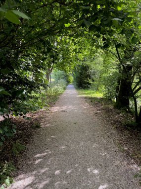 Yeşil ağaçlarla birlikte parkın içinden geçen patika görüntüsü