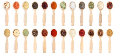 Beyaz arka planda tahta kaşıklardaki farklı aromatik baharatlar, set. Üst görünüm