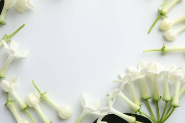 Beyaz arka planda yasemin çiçeklerinden yapılmış güzel bir çerçeve. Metin için boşluk