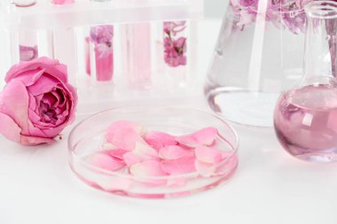 Lüks parfüm yapıyorum. Temel yağlar cam eşyalar ve çiçekler beyaz masada, yakın plan.