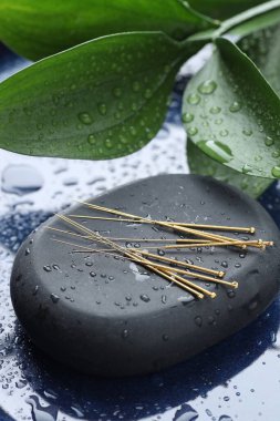 Akupunktur iğneleri, ıslak kaplıca taşı ve mavi tepside yapraklar, yakın çekim.
