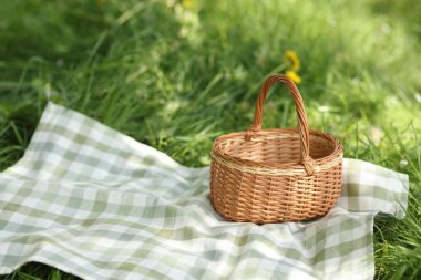 Dışarıdaki yeşil çimlerin üzerinde hasır sepet ve battaniye. Metin için boşluk