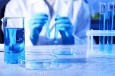 Petri kabı ve deney kabı. Laboratuvarda çalışan bilim adamı, seçici odaklanma