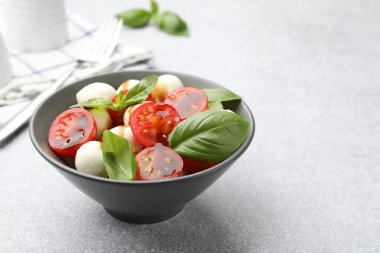 Mozarella soslu lezzetli salata, domates ve fesleğen, yakın plan. Metin için boşluk