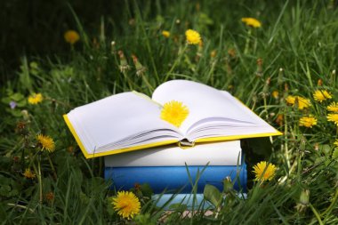 Yeşil çimlerin üzerinde karahindiba çiçekleri olan kitaplar, yakın plan.