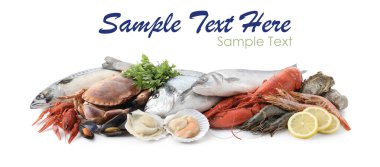 Beyaz arka planda farklı deniz ürünleri. Metin için alanı olan pankart tasarımı