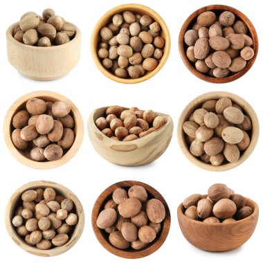 Beyaz zemin üzerinde kablar içinde Nutmeg tohumları, set