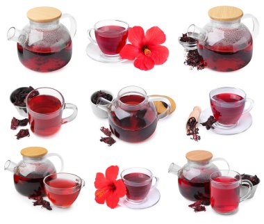 Hibiscus çayı, taze çiçekler ve kurutulmuş kalibreler beyaz sette izole edilmiş.