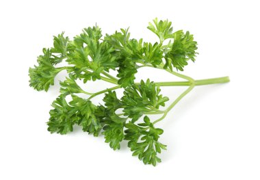 Beyaz maydanozlu taze maydanoz.
