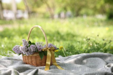 Açık havada üzerinde leylak çiçekleri olan hasır sepet. Metin için boşluk
