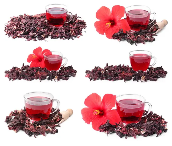 Hibiscus çayı, taze çiçekler ve kurutulmuş kalibreler beyaz sette izole edilmiş.