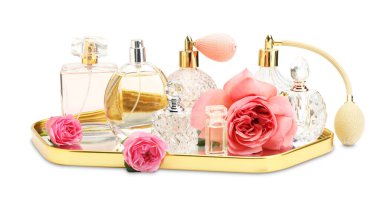 Birçok farklı parfüm şişeleri ve güller beyaz üzerine izole edilmiş.