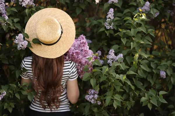 Leylak çiçeklerinin arasında saman şapkalı bir kadın ve açık hava, arka manzara