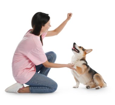 Mutlu kadın köpeğini beyaz arka planda eğitiyor.