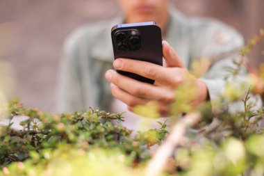 Adam akıllı telefonunda bitki tanıma uygulaması kullanıyor, yakın plan.
