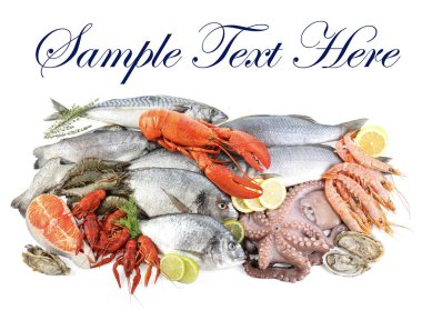 Beyaz arka planda farklı deniz ürünleri, üst manzara. Metin için alanı olan tasarım