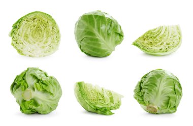 Beyaz arka planda taze lahana, kolaj