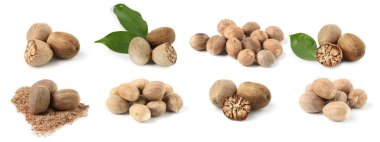 Nutmeg tohumları beyaz arkaplanda, hazır. Aromatik baharat