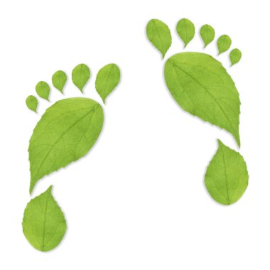 Beyaz arka planda yeşil yapraklardan yapılmış insan ayak izleri. Çevre bakımı, ekoloji koruması, CO2 emisyonunun azaltılması