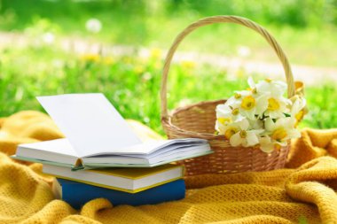 Yığınlanmış kitaplar, battaniye ve hasır sepet yeşil çimlerin üzerinde nergis çiçekleri