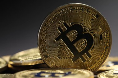Kripto para birimi. Gri arkaplanda altın bitcoinler, yakın plan