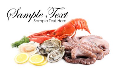 Beyaz arka planda farklı deniz ürünleri. Metin için alanı olan tasarım