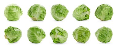 Beyaz arka planda taze lahana, kolaj