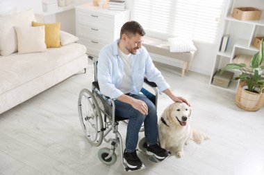 Tekerlekli sandalyedeki adam, hizmetli köpeği evde, yukarıda.