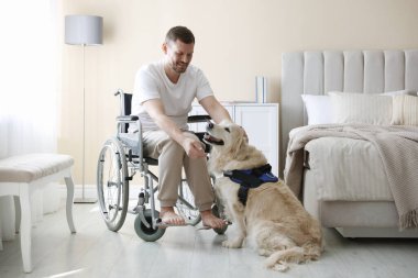 Tekerlekli sandalyedeki adam ve hizmetli köpeği evde