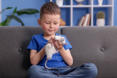 Evdeki kanepede evcil faresi olan küçük çocuk.