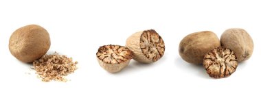 Nutmeg tohumları beyaz arkaplanda, hazır. Aromatik baharat