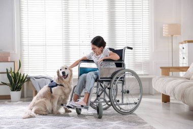 Hizmetçi köpeğiyle tekerlekli sandalyedeki kız. Metin için boşluk