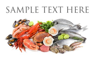 Beyaz arka planda farklı deniz ürünleri. Metin için alanı olan tasarım