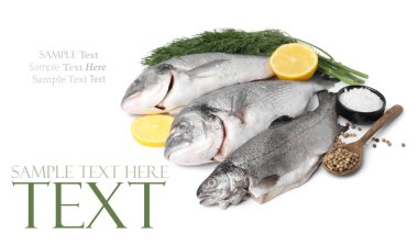 Deniz ürünleri. Beyaz arka planda farklı türde çiğ balık, limon ve baharatlar. Metin için alanı olan pankart tasarımı