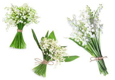 Beyaz çiçekli vadi zambakları, kolaj.