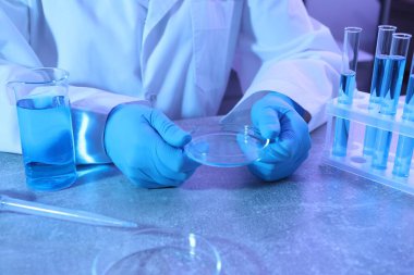 Masada Petri kabı olan bilim adamı, yakın plan.