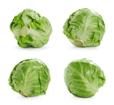 Beyaz arka planda taze lahana, kolaj