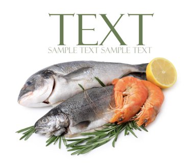 Taze deniz ürünleri ve beyaz arka planda ürünler. Metin için alanı olan tasarım