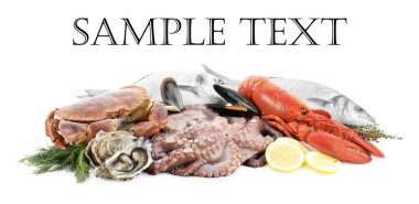 Beyaz arka planda farklı deniz ürünleri. Metin için alanı olan pankart tasarımı