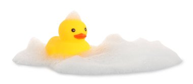 Beyaz bir ördek ve köpük.