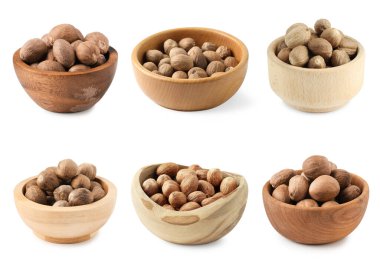 Beyaz zemin üzerinde kablar içinde Nutmeg tohumları, set