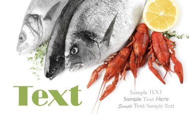 Taze deniz ürünleri, beyaz arka planda limon ve kekik, üst manzara. Metin için alanı olan tasarım