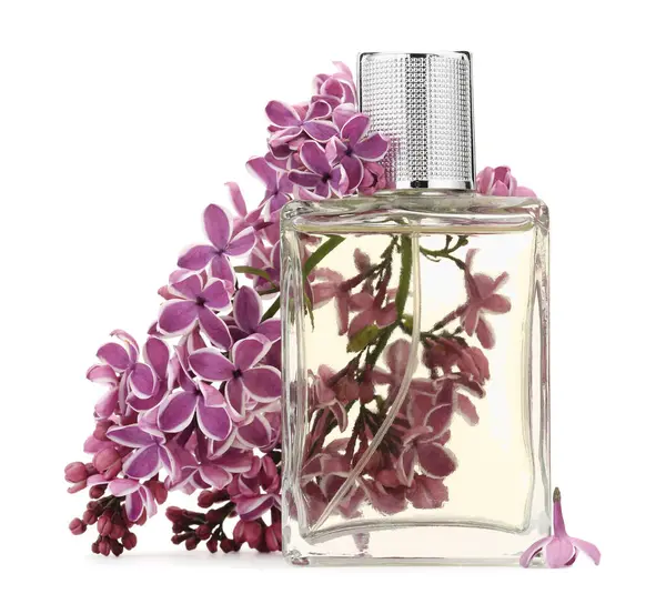 Bir şişe lüks parfüm ve beyaza ayrılmış leylak çiçekleri.