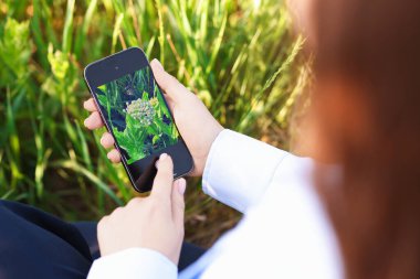 Açık havada akıllı telefondan bitki tanıma uygulaması kullanan bir kadın.