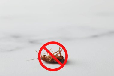 Işık yüzeyinde kırmızı yasak işareti olan ölü hamamböceği. Haşere kontrolü